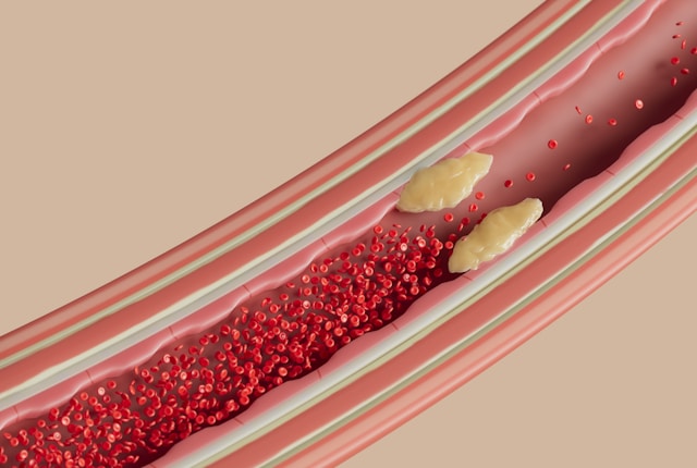 A cross-sectional view of a blood vessel showing red blood cells and yellow platelets flowing.