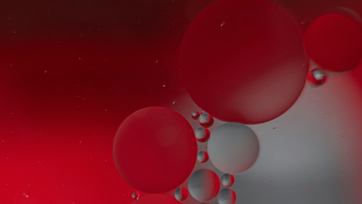 Closeup image of muscle tissue cells.