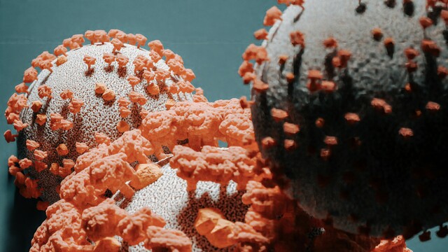 Vilon peptide research